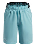 Under Armour Youth - Vanish Shorts