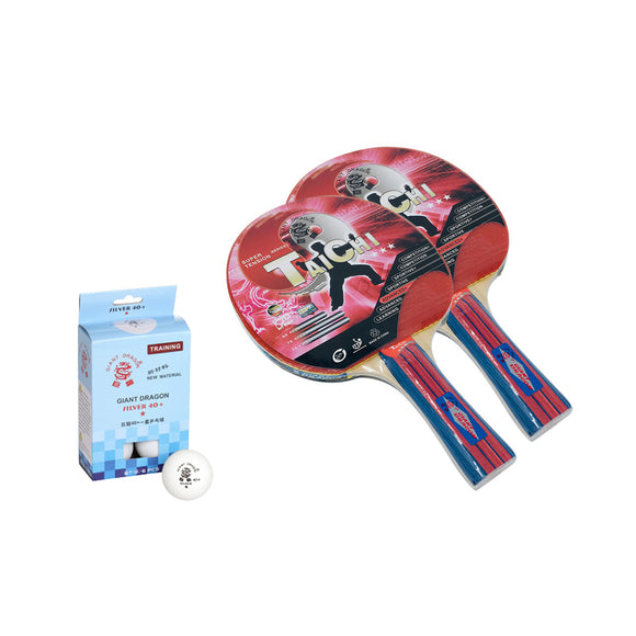 Giant Dragon 3 Star Table Tennis Paddle: TaiChi