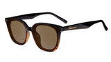 Knockaround Sunglasses - Cloud Catches West End Polarized