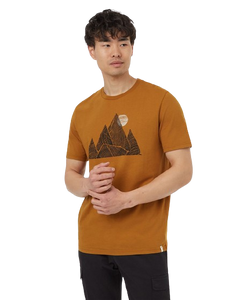 Tentree T-Shirts - Men's Peak