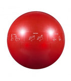 GoFit Ball - Stability Ball Pro