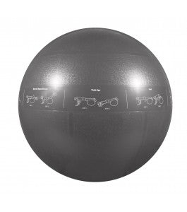 GoFit Ball - Stability Ball Pro